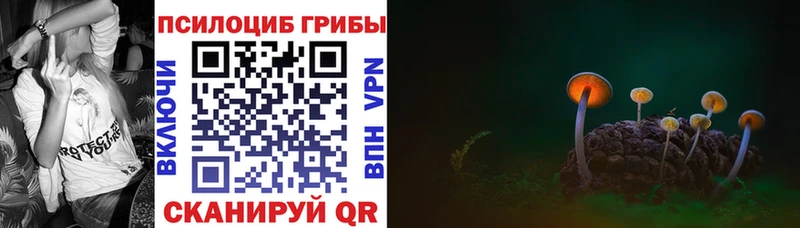 kraken ТОР Заволжье Псилоцибиновые грибы прущие грибы